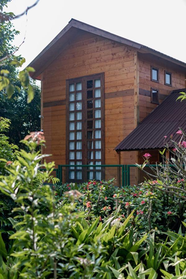 Willa The Pine Loft Bengaluru Zewnętrze zdjęcie
